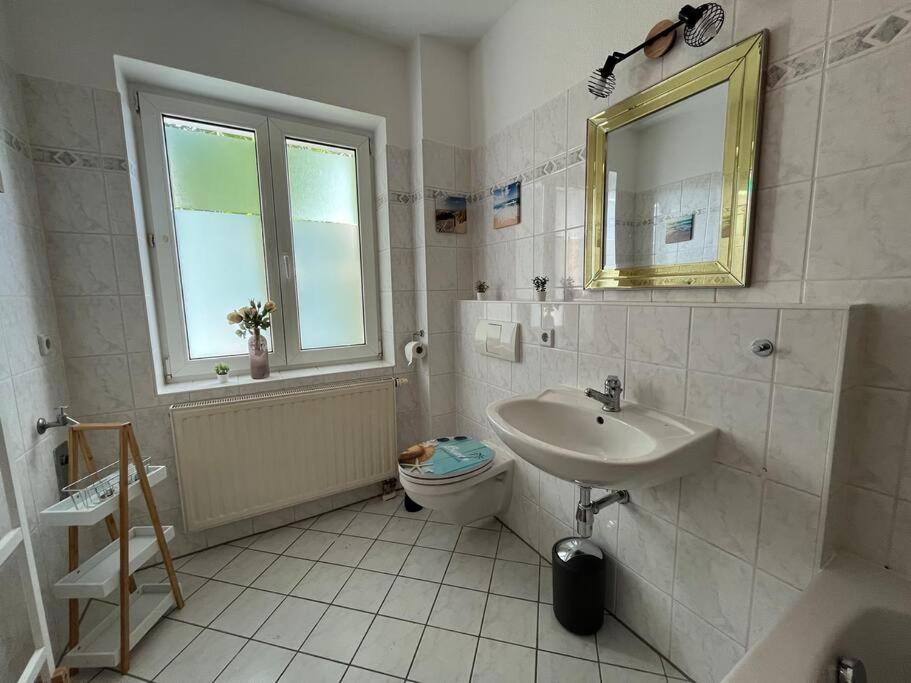 Blue Chili 22 - 2-Raum-Wohnung Im Stadtfeld Ost Magdeburg Eksteriør billede